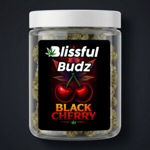 Black Cherry Flower