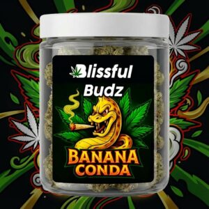 Banana Conda Flower