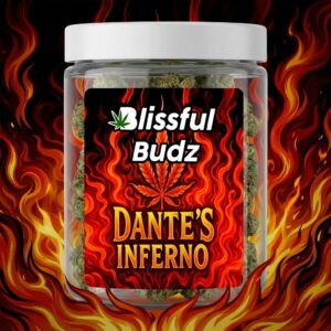 Dante's Inferno Flower