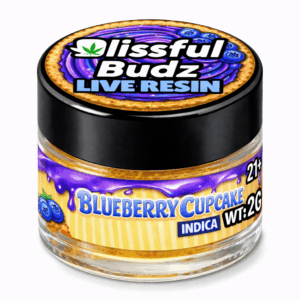 Blueberry Cupcake